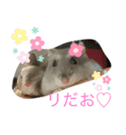小さな天使のささみちゃん（個別スタンプ：8）
