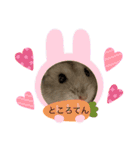 小さな天使のささみちゃん（個別スタンプ：12）
