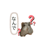 小さな天使のささみちゃん（個別スタンプ：16）