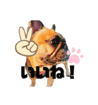 チョコ＆きなこ（個別スタンプ：11）