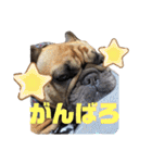 チョコ＆きなこ（個別スタンプ：13）