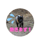チョコ＆きなこ（個別スタンプ：25）
