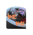 チョコ＆きなこ（個別スタンプ：26）
