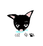 黒猫のあいさつスタンプ（個別スタンプ：6）