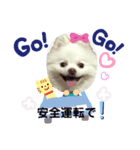 コロンとチロル（個別スタンプ：6）