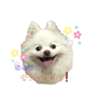 コロンとチロル（個別スタンプ：7）