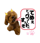 ツンデレトイプードルSUN＆PAN（個別スタンプ：23）