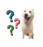 ヒロの日常？！（個別スタンプ：7）
