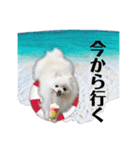 モナちゃんの日常（個別スタンプ：3）