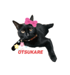 団子猫7兄弟のスタンプです。（個別スタンプ：4）