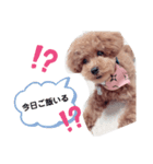 めろめろまろん♡3（個別スタンプ：2）