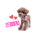 めろめろまろん♡3（個別スタンプ：4）