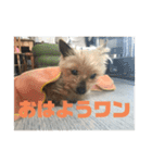 チョコの独り言スタンプ（個別スタンプ：3）