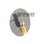 チョコの独り言スタンプ（個別スタンプ：10）