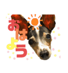 チャルすたんぷ♡（個別スタンプ：1）