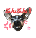 チャルすたんぷ♡（個別スタンプ：6）