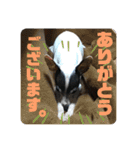 チャルすたんぷ♡（個別スタンプ：10）