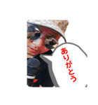 藤本佳樹パート1（個別スタンプ：16）
