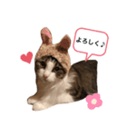 COCO (1)（個別スタンプ：1）