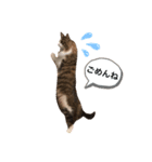 COCO (1)（個別スタンプ：5）