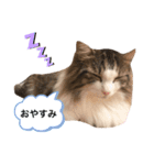 COCO (1)（個別スタンプ：6）
