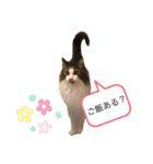 COCO (1)（個別スタンプ：8）