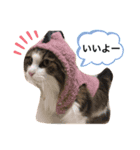 COCO (1)（個別スタンプ：11）
