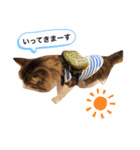 COCO (1)（個別スタンプ：14）