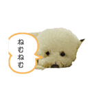 ロン 2020①（個別スタンプ：2）