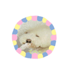 ロン 2020①（個別スタンプ：3）