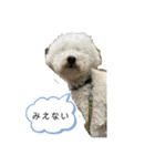 ロン 2020①（個別スタンプ：4）