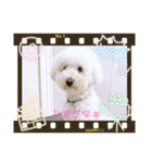 ロン 2020①（個別スタンプ：8）