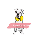 うちのイッヌ(ホワイトボクサー)（個別スタンプ：2）