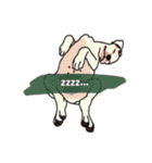 うちのイッヌ(ホワイトボクサー)（個別スタンプ：5）