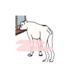 うちのイッヌ(ホワイトボクサー)（個別スタンプ：12）