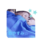 ちいず（個別スタンプ：4）