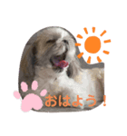 ちいず（個別スタンプ：6）