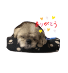 ちいず（個別スタンプ：8）