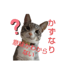 かずなり(一成)専用銀ちゃんスタンプ（個別スタンプ：1）