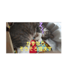 かずなり(一成)専用銀ちゃんスタンプ（個別スタンプ：6）