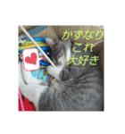 かずなり(一成)専用銀ちゃんスタンプ（個別スタンプ：18）