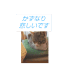かずなり(一成)専用銀ちゃんスタンプ（個別スタンプ：19）