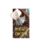 かずなり(一成)専用銀ちゃんスタンプ（個別スタンプ：21）