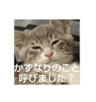 かずなり(一成)専用銀ちゃんスタンプ（個別スタンプ：23）