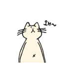 ねこめいと(Korean ver)（個別スタンプ：30）