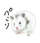 ハムスターまりものもふもふスタンプ！（個別スタンプ：2）
