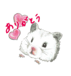 ハムスターまりものもふもふスタンプ！（個別スタンプ：4）