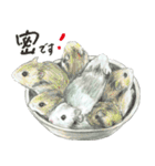 ハムスターまりものもふもふスタンプ！（個別スタンプ：5）