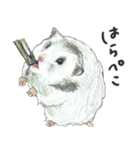 ハムスターまりものもふもふスタンプ！（個別スタンプ：10）