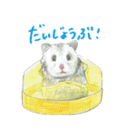 ハムスターまりものもふもふスタンプ！（個別スタンプ：11）